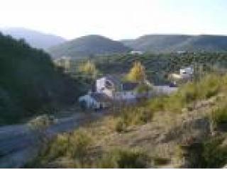 Commercial, Jaen, Fuensanta de Martos..