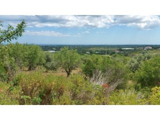 Top Of Hill Plot With Massive Seaviews..