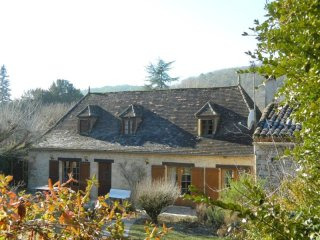 Character House with Swimming Pool