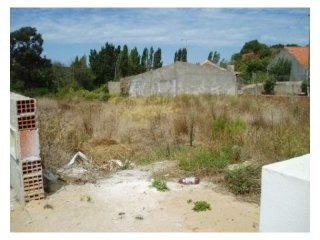 Land , Torres Vedras