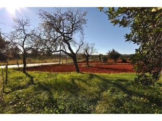 Property - Ibiza - For Sale