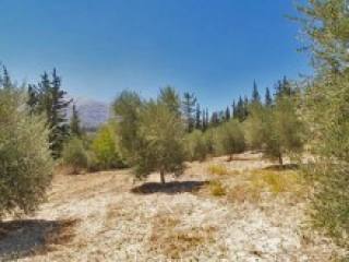 Plot For Sale In The Apokoronas