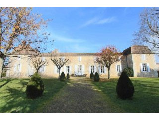 Large Elegant Chartreuse With..