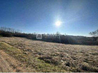 Istra, Karojba, građevinsko zemljište, 3.000m2