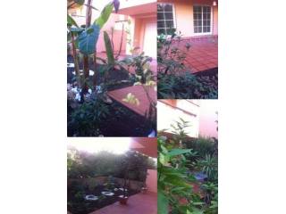 Apartment - Beautiful ground floor..