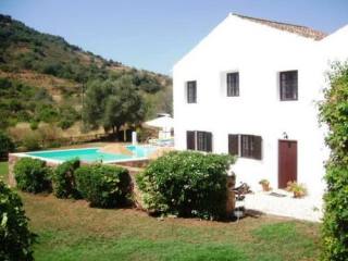 Three houses with excellent rental..