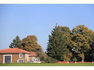 Magnificent 12 Room Country House, 3..