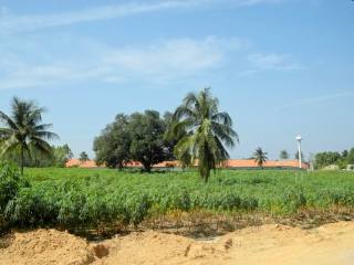 Plot of land near Polo Club, Horseshoe..