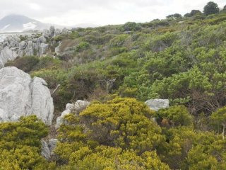 Bettys Bay Vacant Land, Bettys Bay