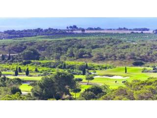 Plots for sale in Campoamor