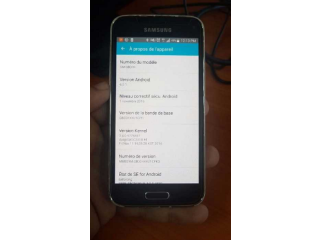 Samsung Galaxy S5 mini