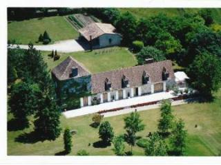 Reduced! Magnificent Chartreuse in a..