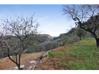 Beautiful plot in Benissa