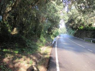 PLOT IN SA RIERA