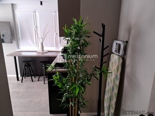 Najam, Rijeka, Brajda, studio apartman, 28m2