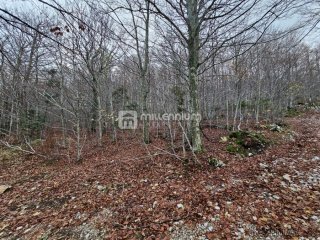 Gorski kotar, Lič, građevinsko zemljište, 2.930m2