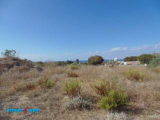 Agricultural Land in Chlorakas, Pafos