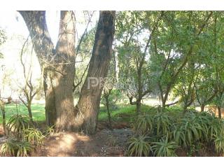 Plot of land with 3000m2 with ruined..