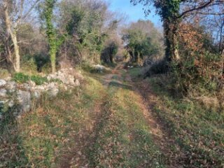 Pula,Krnica, poljoprivredno zemljište od 1309m2
