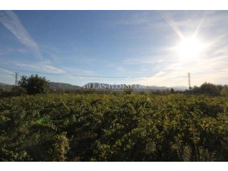 Plot In Javea