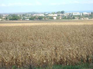 Land in Durankulak, Shabla