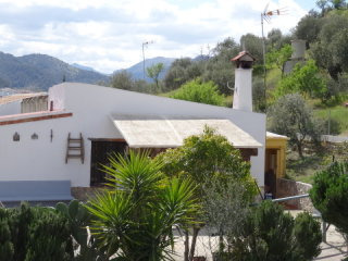 The Village*