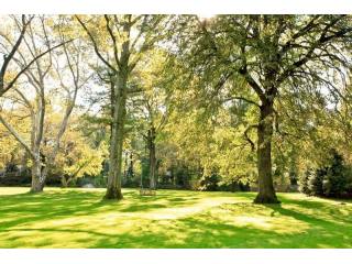 Land For Sale: Scarsdale, New York