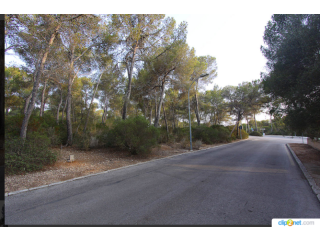 Building Land With License In Cala..