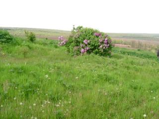 Land in Dryanovets, Dobrich