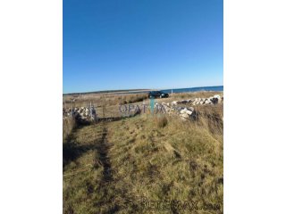 Pag - zemljište cca 60000 m2