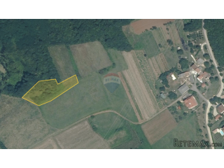 ISTRA, BARBAN - Zemljište 3000 m2