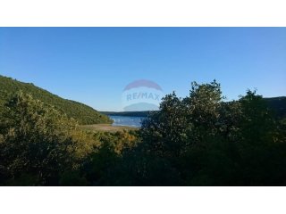 ISTRA, VALTURA, šuma uz pristupni put