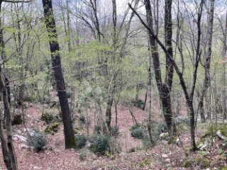 Matulji -10471m2,teren za više obiteljskih kuća