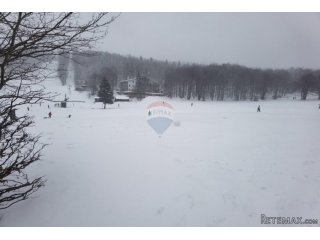 Platak, ugostiteljski objekt-brvnara