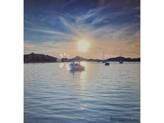OTOK ŽUT, KORNATI pašnjak 40 000 m2