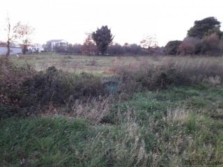 ISTRA,VOLME,NEGRAĐEVINSKO ZEMLJIŠTE 600M DO MORA