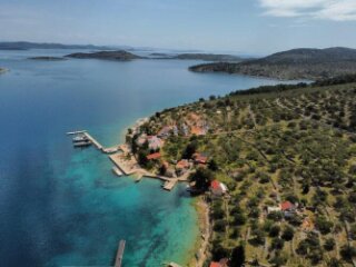 OTOK ŽUT, KORNATI - KUĆA I MASLENIK 2500M2 UZ MORE