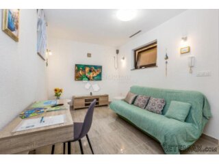 MALINSKA - 2 APARTMANA SA SJENICOM