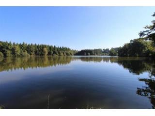 House For Sale: 87000 LIMOGES