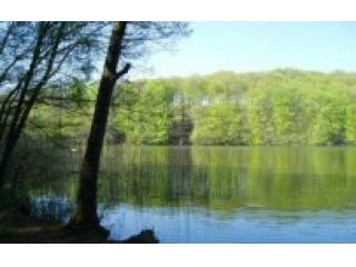 Plot for sale in Przytoń (polna), 11000..