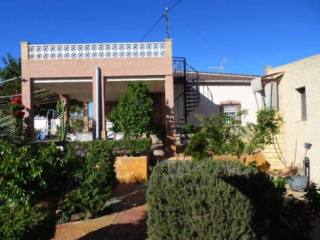 Finca Elche Crevillente
