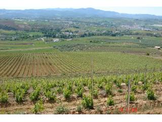- Property - Malaga - For Sale