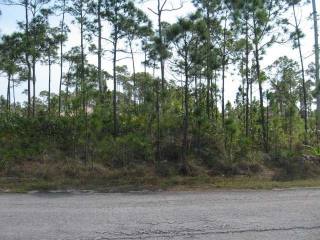 Singlefamilyvacant - Duplex lot located..