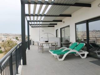 Large Pendergardens Apartment