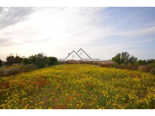 Plot Of Land - Qrendi
