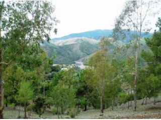 Finca for sale in Istan, Malaga