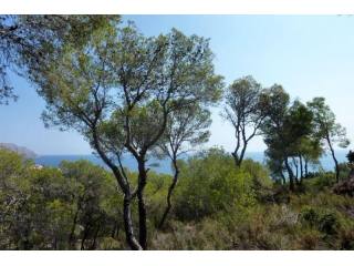Building Plot, Altea, Costa Blanca..