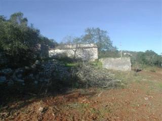 Land - 9.820 Sq. mts. Building Plot set..