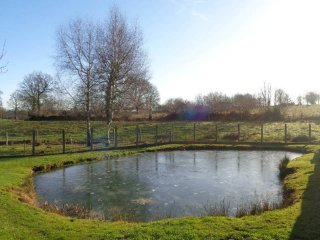 Detached House with Pond