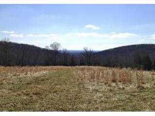 Land For Sale: 5336 BRUNSWICK, BROAD..